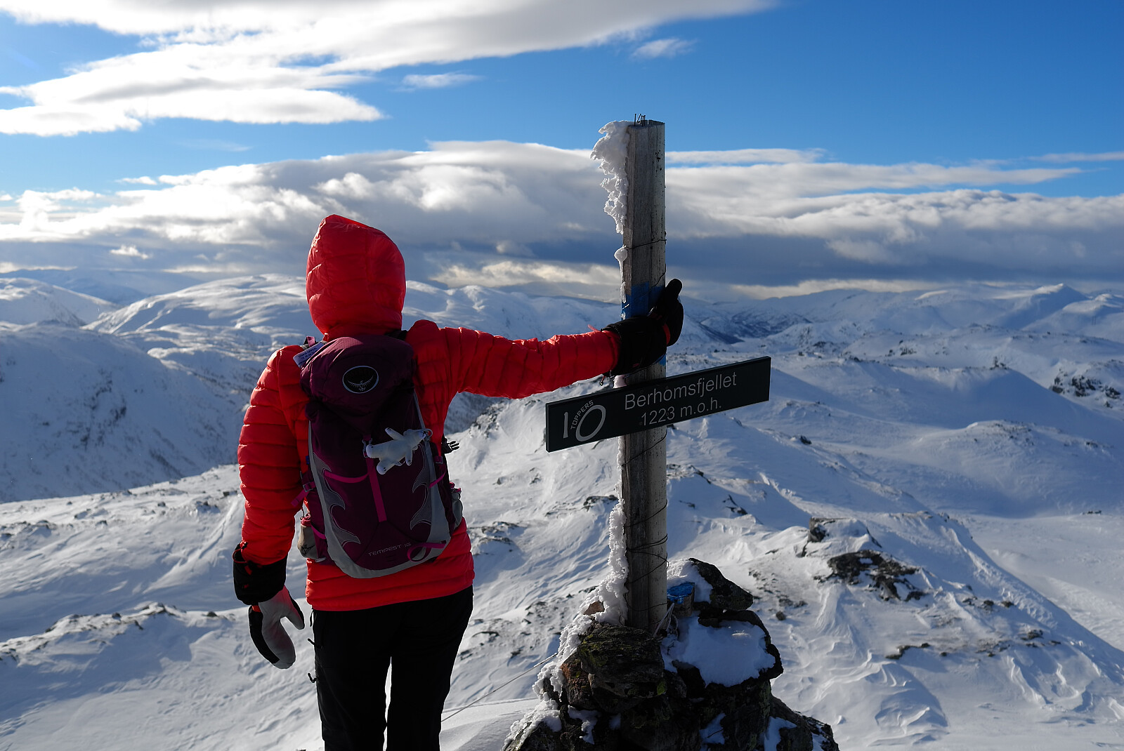 Berhomsfjellet (1223 moh)