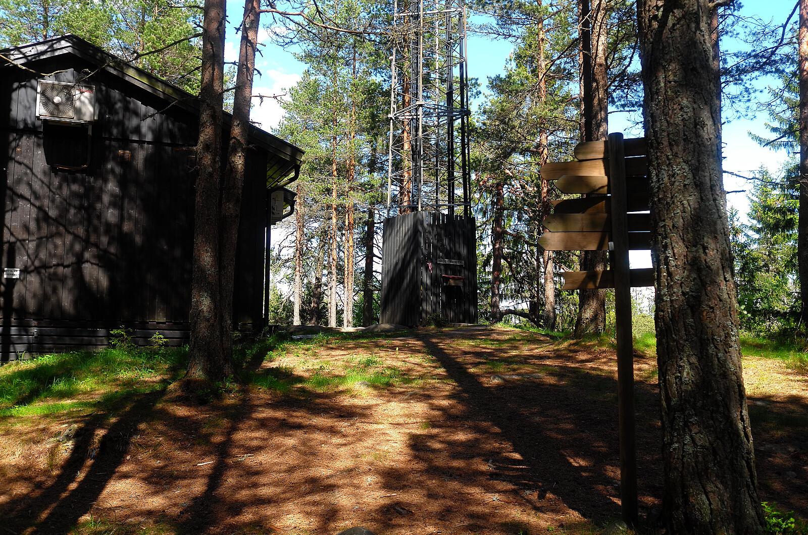 Bjørnholen (347moh)