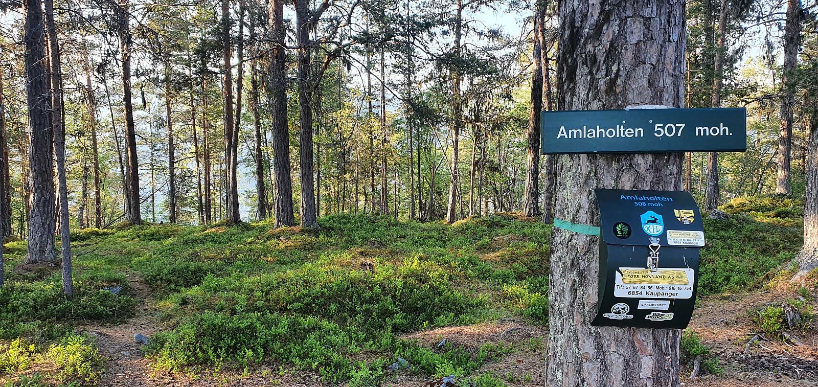 Amleholten (508 moh)