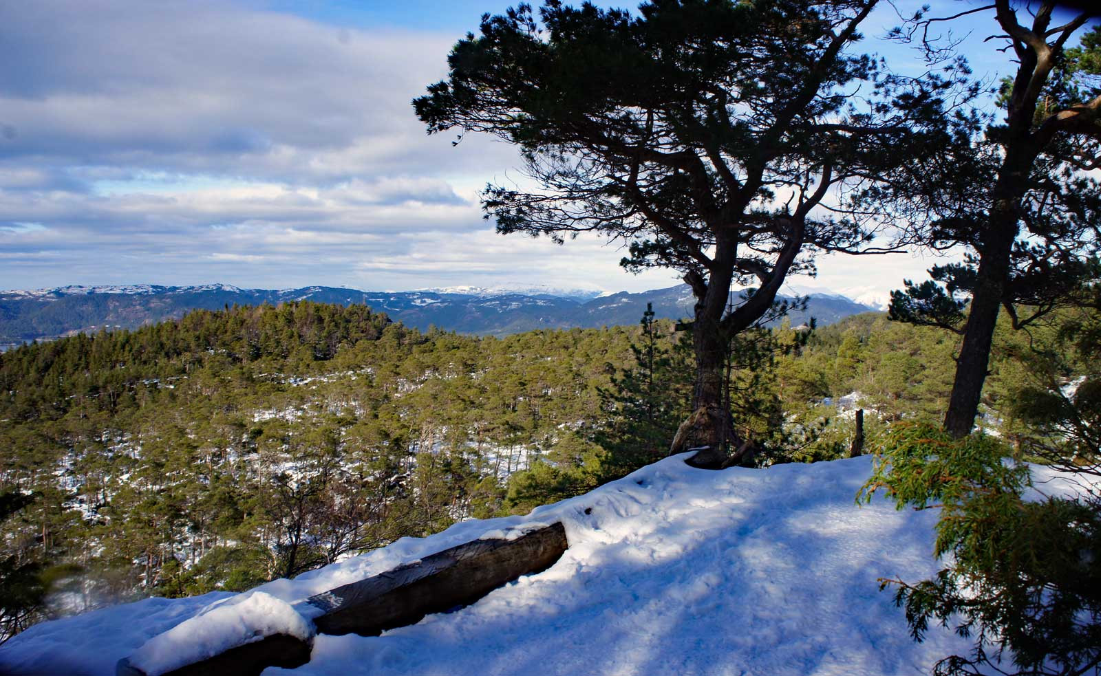 Høglikampen (267 moh) fra Kysthospitalet i Os