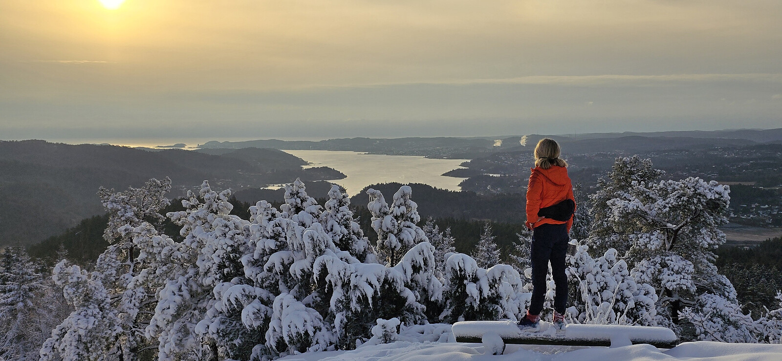 Årdalsåsen (258 moh)