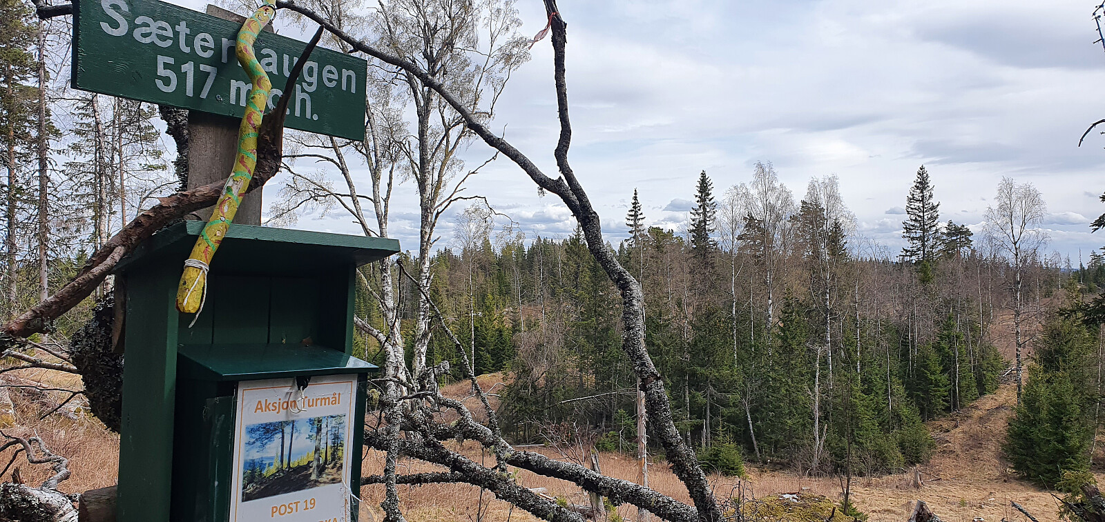 Sæterhaugen (517moh)