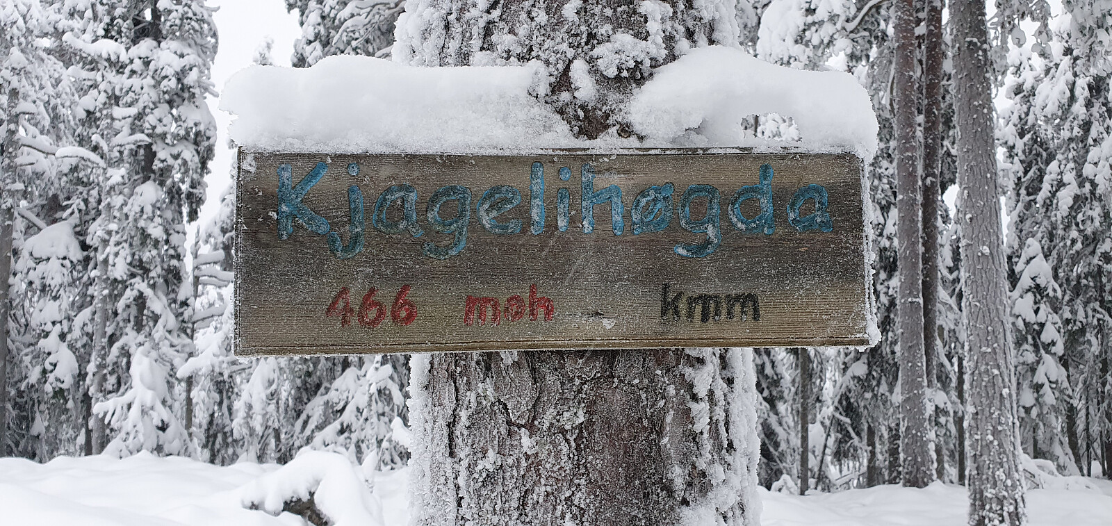 Kjagelihøgda (466moh)