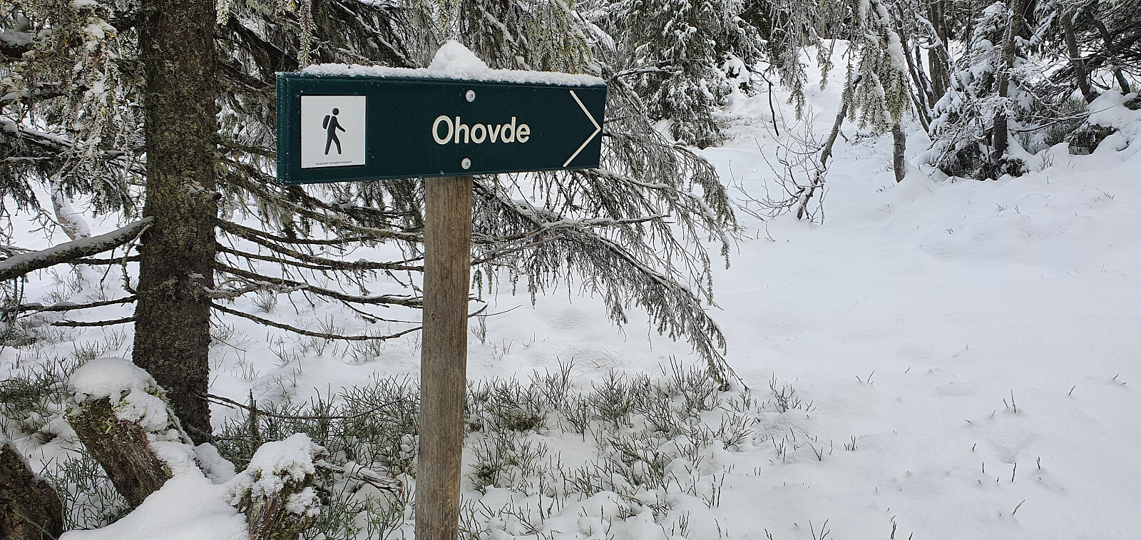 Ohovde (937 moh)