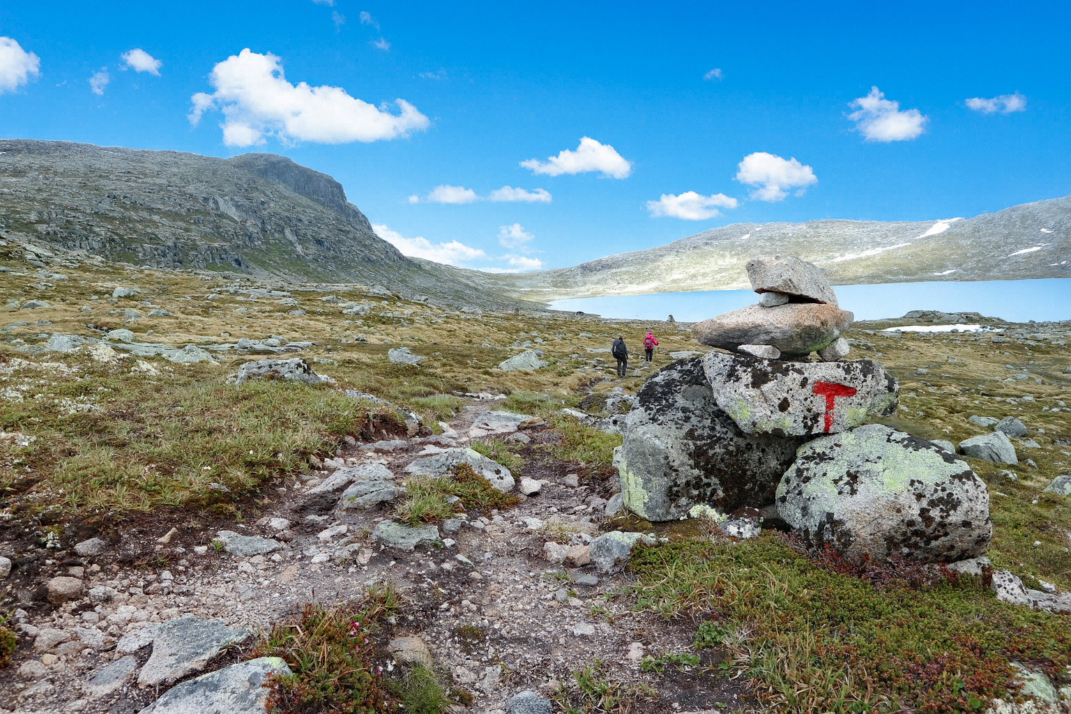 Hardangervidda del 1: Finse til Krækkja (1161moh)