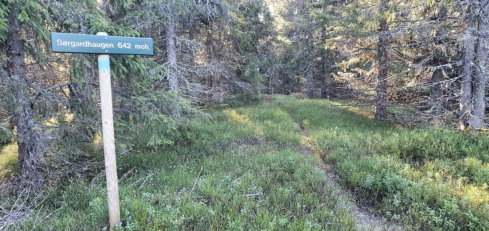 Sørgardhaugen (641moh)