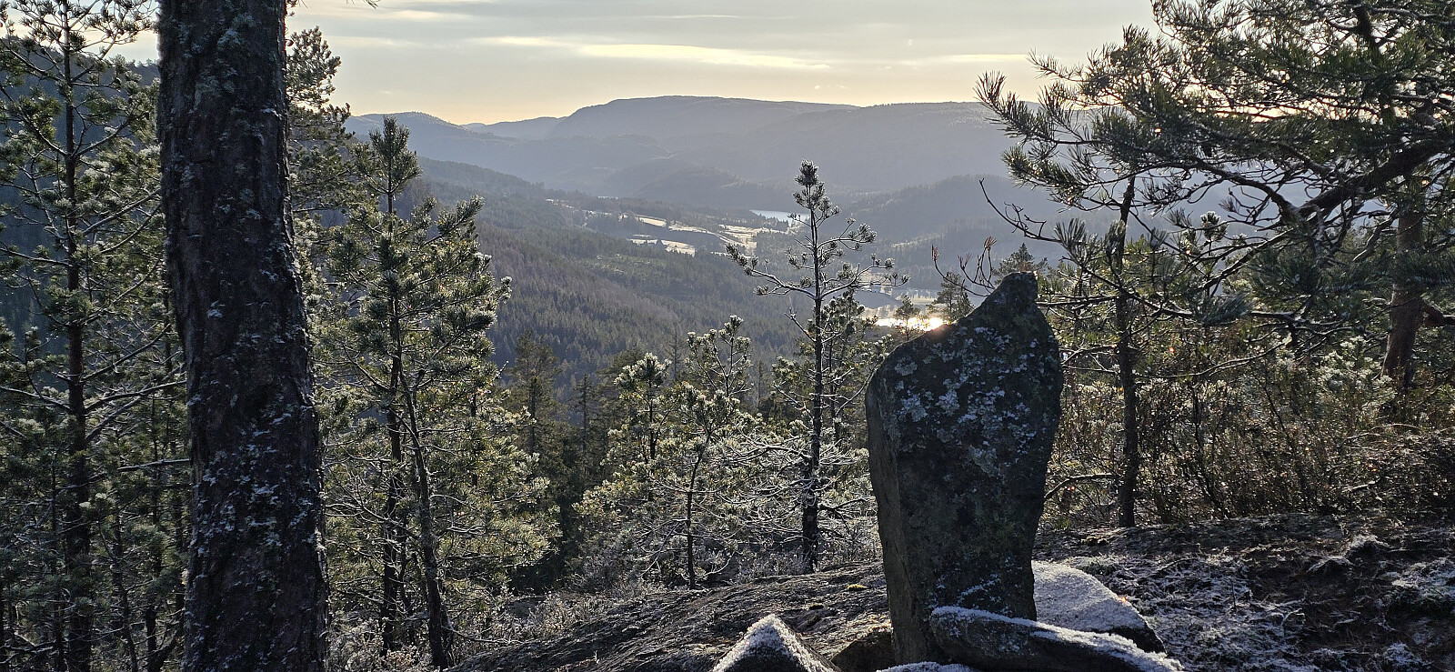 Øygardsfjellet (349 moh)