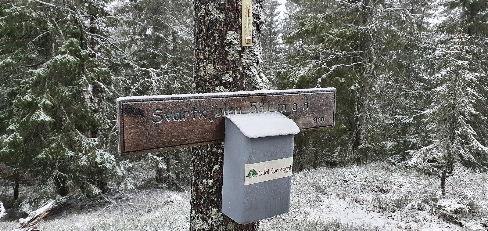 Svartkjølen (531moh)
