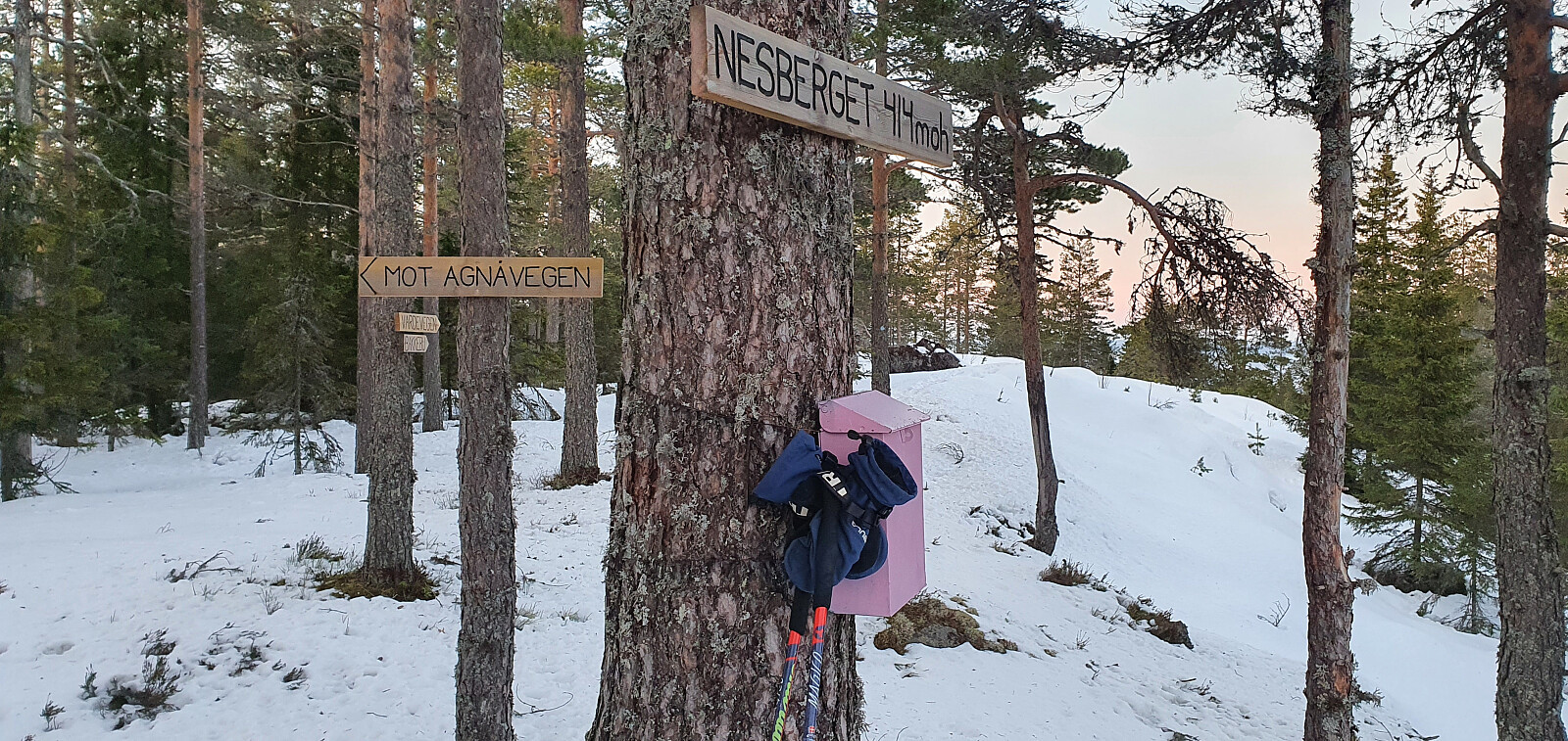 Nesberget (414moh)