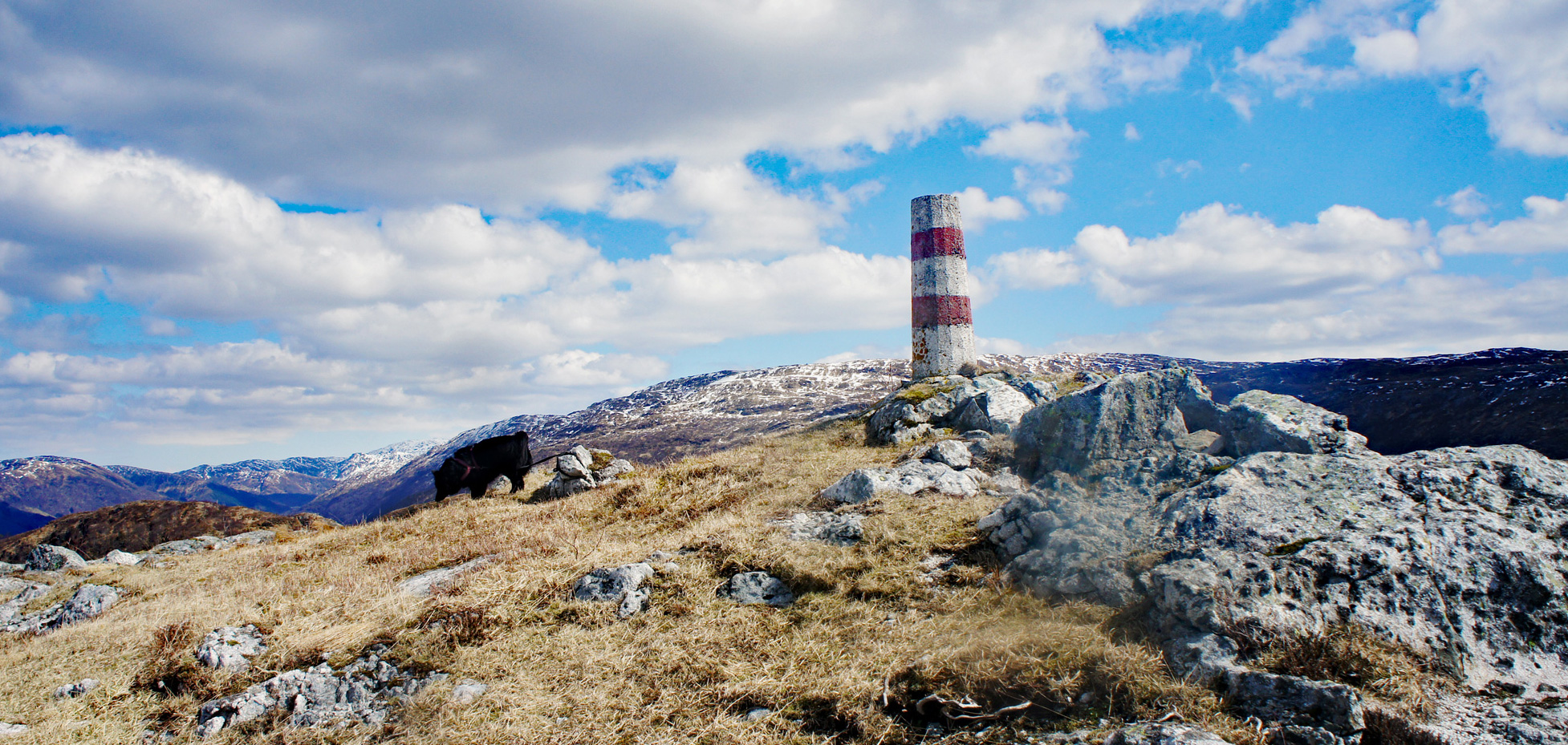 Flåfjellet (418 moh) fra Myrdalsvannet