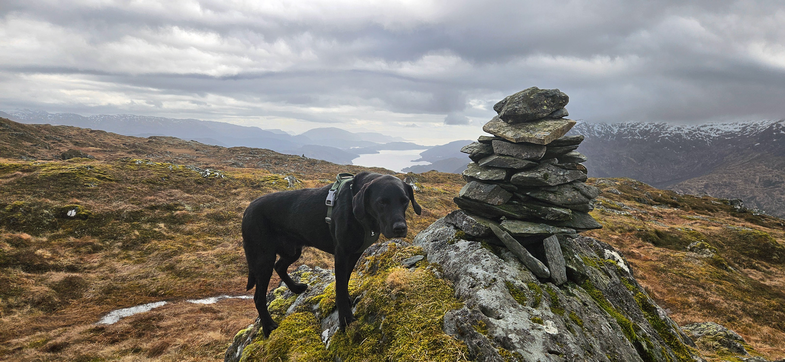 Fjelltur til Krånipa (707 moh) fra Gullbotn