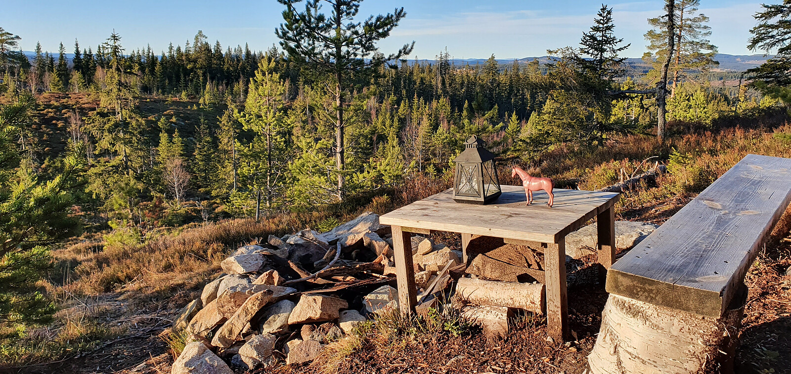 Skonhovdhøgda (579moh)