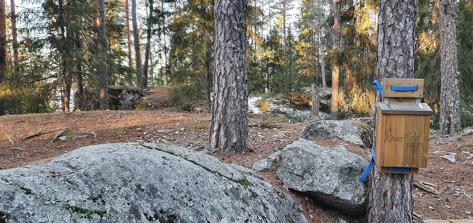 Holtfjellet (274moh)