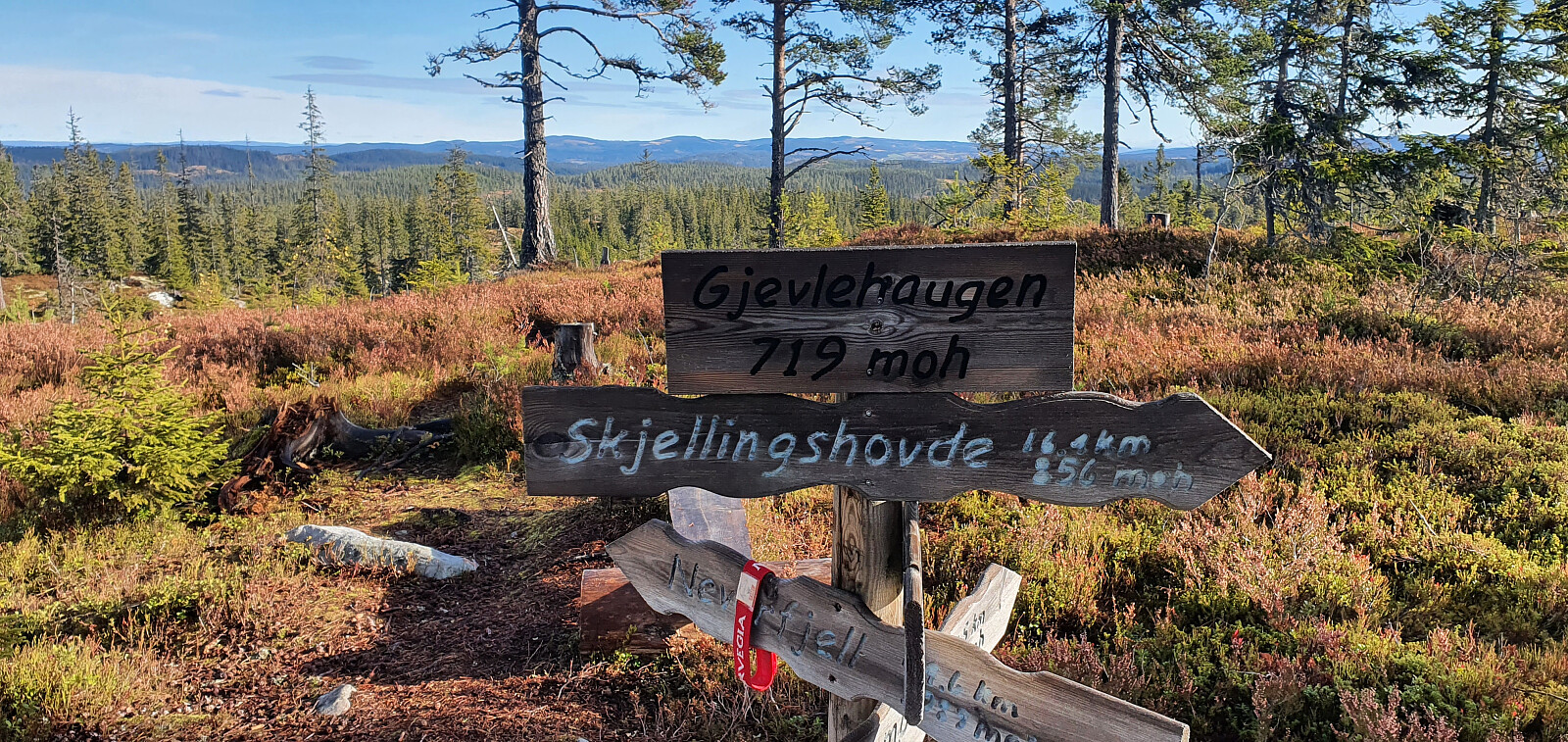 Gjevlehaugen (719 moh)