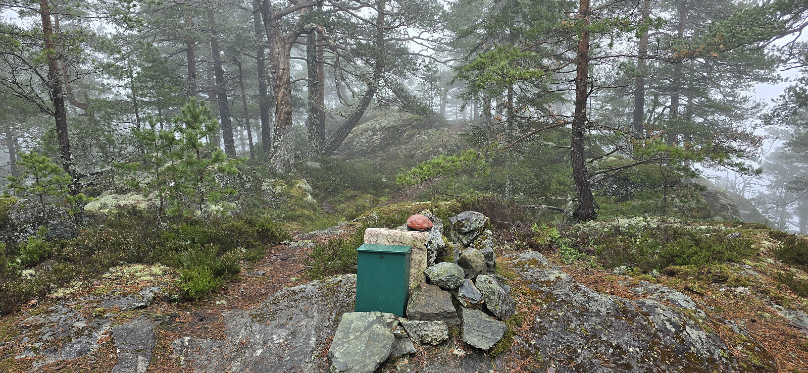 Skulssnippen (391 moh)