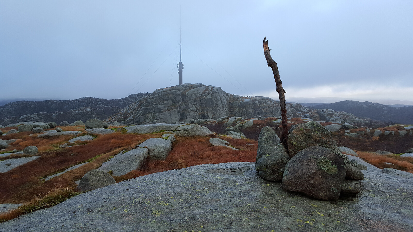 Lyfjellet (486moh)