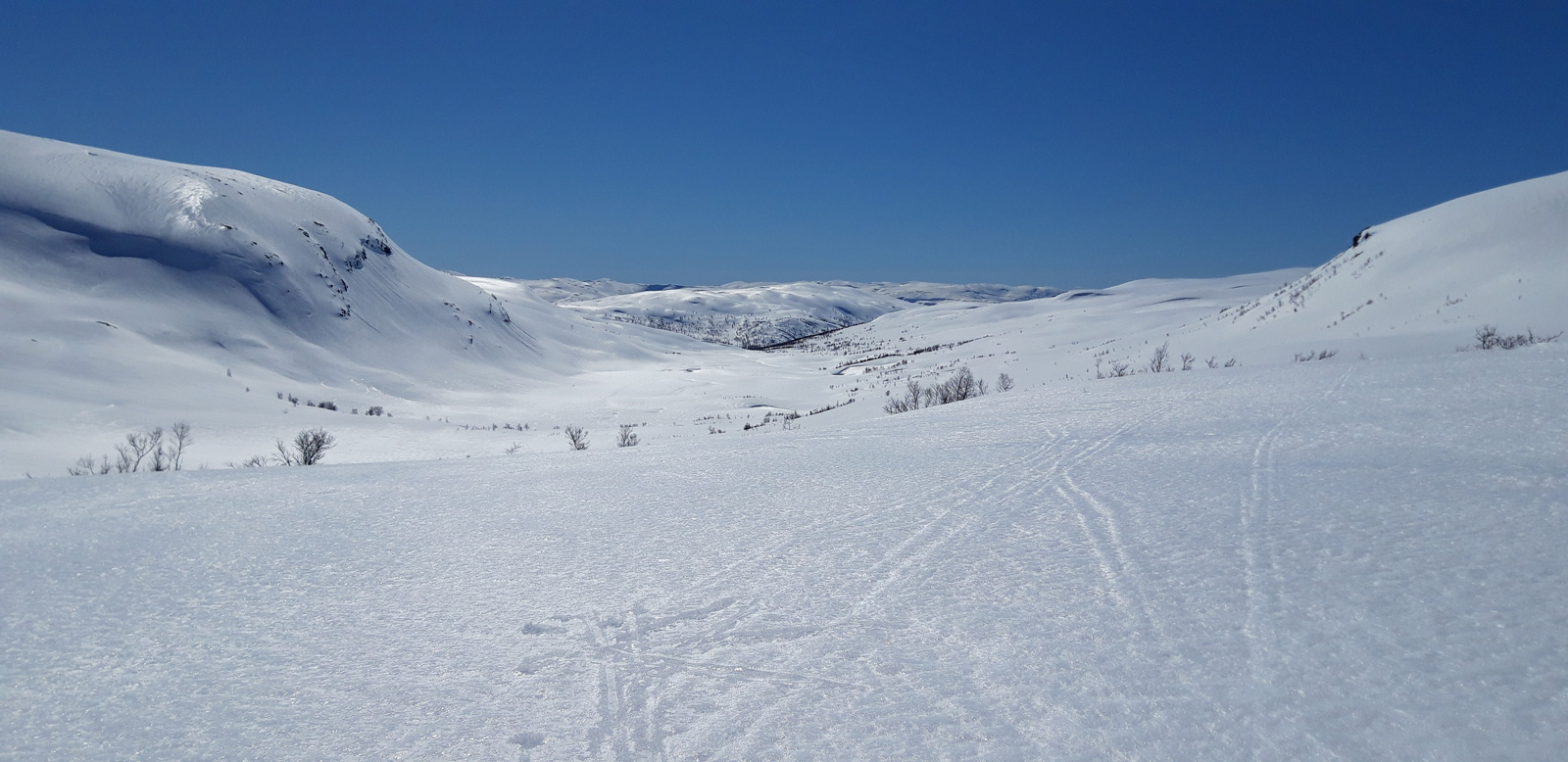 Skiturfra Brandset over Strandaleitet (970moh) sørover mot Reimegrend i Raundalen