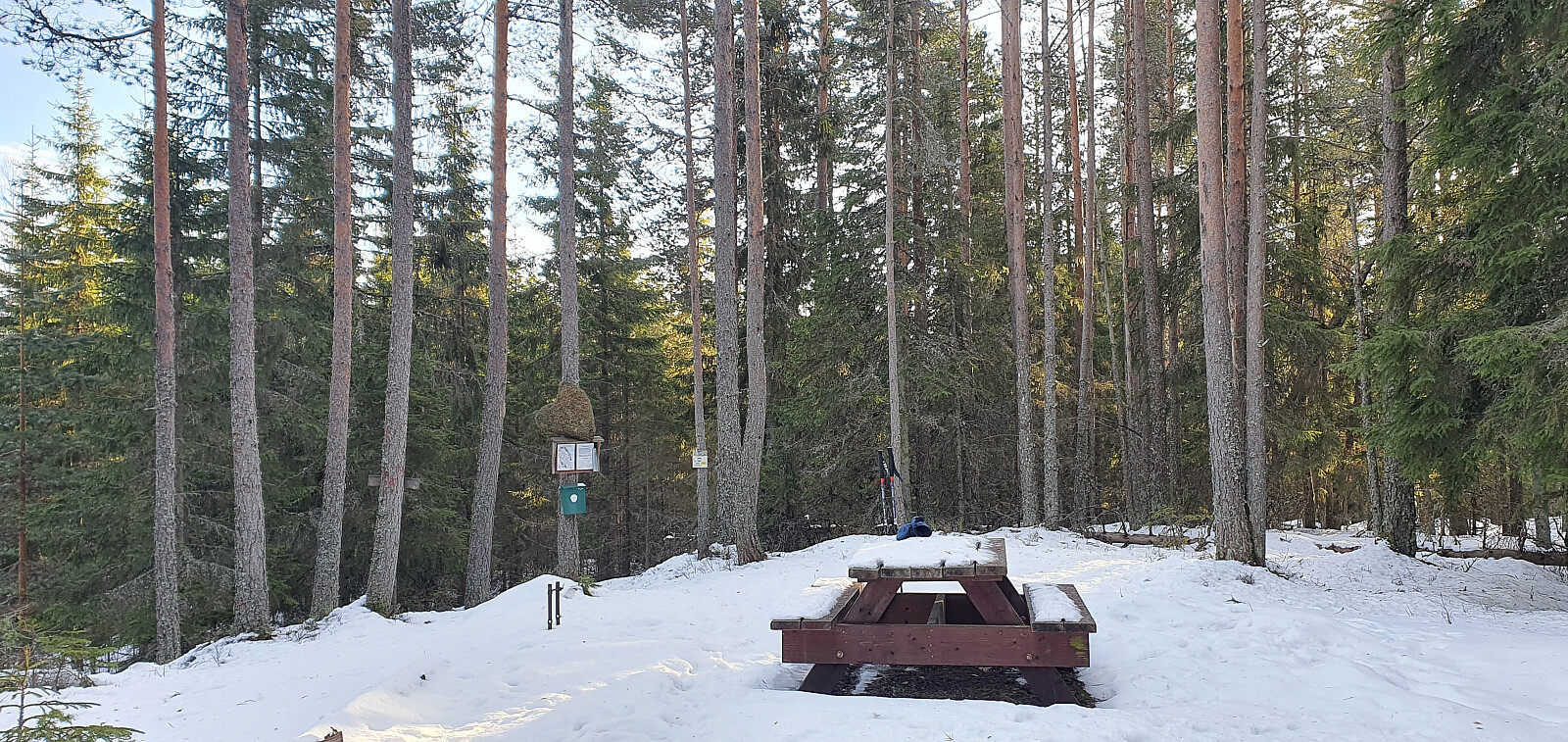 Duåsberget (340moh)