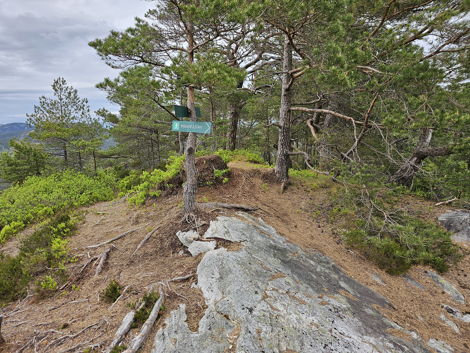 Børshovda (186 moh)