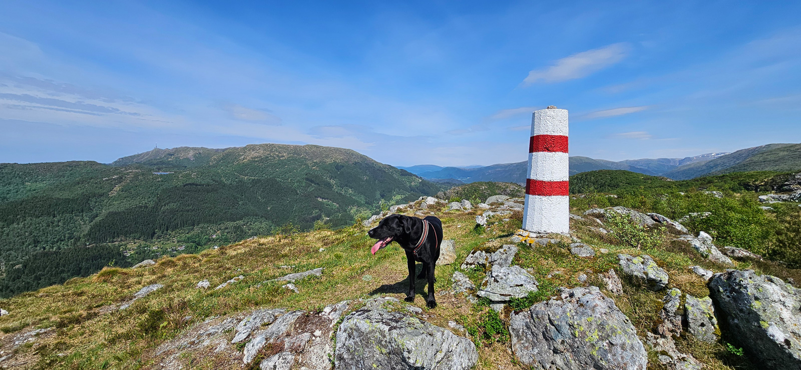 Bratt rute til Flåfjellet (418 moh) i Fana