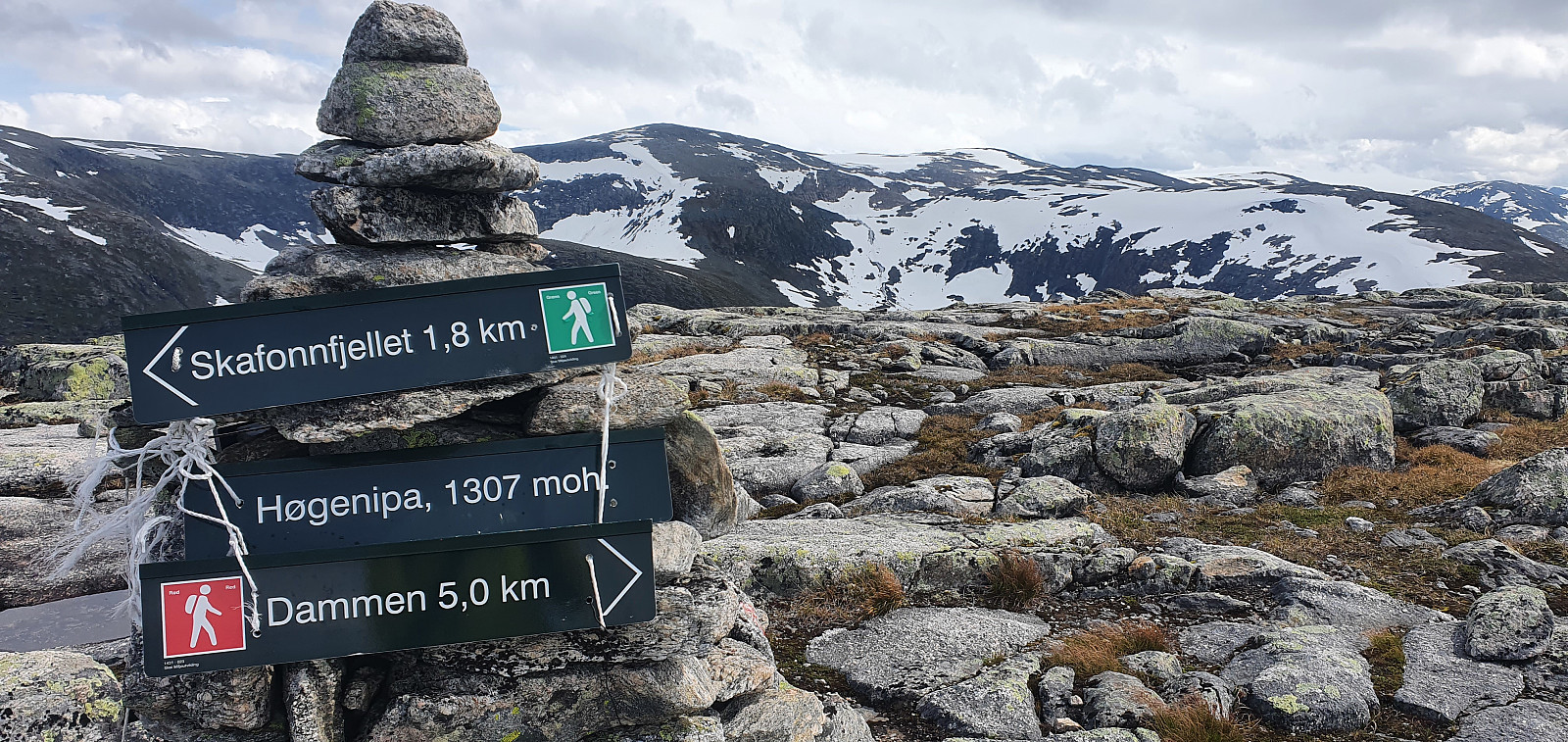 Høgenipa (1307 moh)