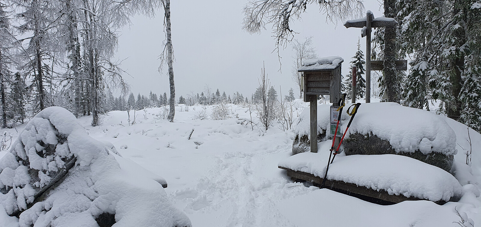 Steinbitberget (416moh)