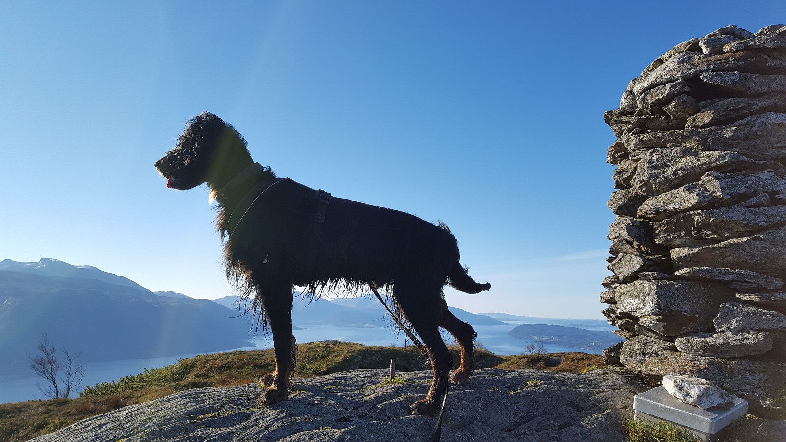 Øyefjellet (600 moh)