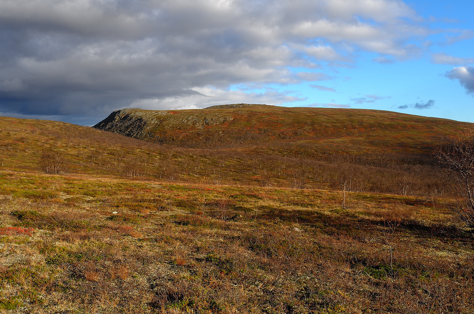 Muvravárri (585moh)