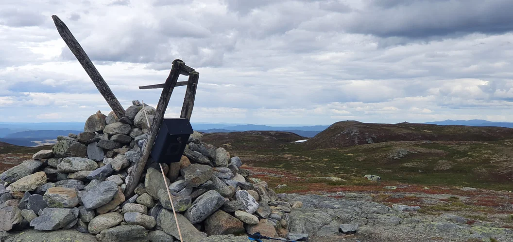 Bjødalskampen (1158moh) Bjødalskampen (1158moh)